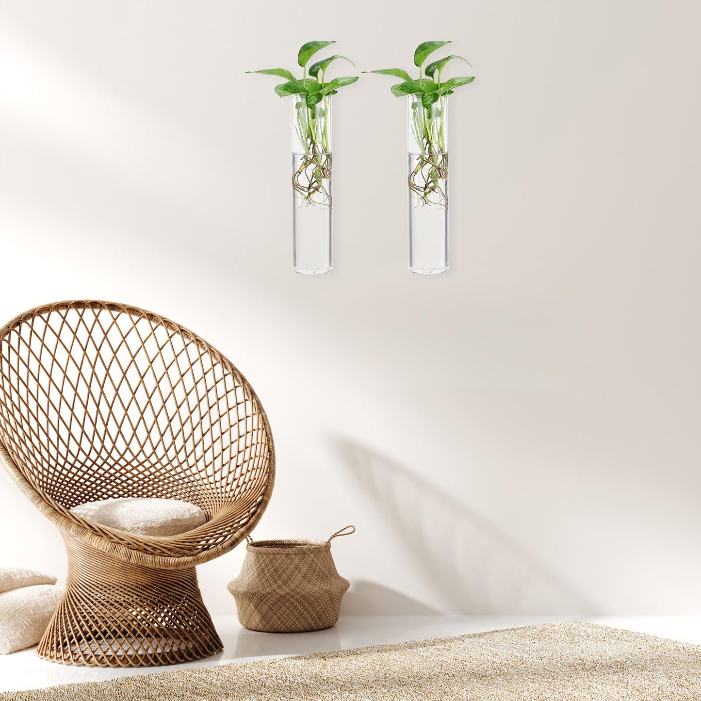 Healeved Wall Hanging Cylinder Glass Vase Set, 2pcs Large Tube Propagation Station for Indoor Plants, Modern Hydroponic Plant Holder, Decorative Terrarium Wall Planter