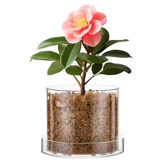 Sunnychicc Clear Plant Nursery Pots Acrylic Orchid Pots with Drainage Holes and Tray Transparent Planter for Indoor Plants, Succulents, Herb, Flowers and Cactus Decorative(6 Inches,Circle)