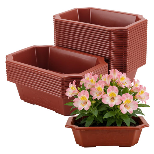 HOIGON 30 PCS 9 x 6.5 Inch Plastic Rectangular Bonsai Training Pots, Red Plastic Planter Pot with Drainage Hole, Shallow Plant Nursery Pot for Succulent