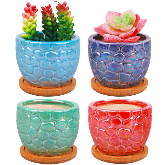 ROSE CREATE 3.5 Inches Ceramic Succulent Planters, Colorful Bonsai Pots for Window Desk Home Decor with Bamboo Trays