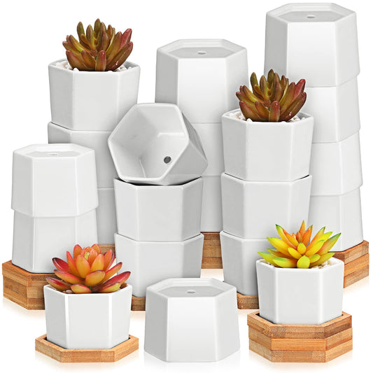 Gerrii Succulent Pots Mini White Ceramic Flower Planter Pot Succulent Planters with Wooden Trays and Drainage Holes for Plants Cactus Home Office Decoration, Plants Not Included(24 Pcs)