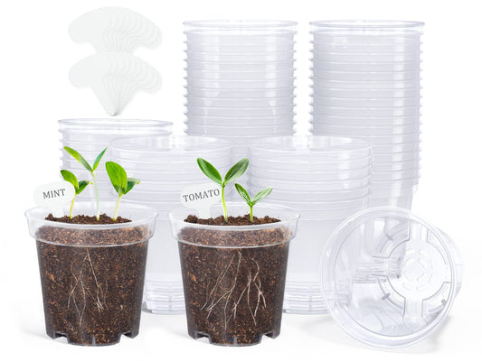homenote Clear Nursery Pots for Plants,3 Inch Plant Pot for Planting Plastic Seedling with Drainage Holes Seed Starter Flower High Transparency with 20 Labels (60 Pack)