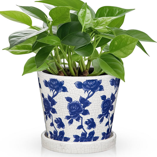 Ceramic Pot for Indoor Plants - 5.5 inch Flower Pot for Plants with Drainage Holes and Saucer Ice Crack Diamond Rose Flower Pattern Ceramic Planter for Outdoor Indoor Herb Snake Plant (Blue & White)