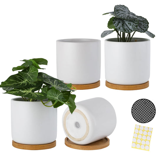 BABALIU 4 Inch Ceramic Plant Pots with Drainage Holes and Trays, Adorable Small Cylinder Flower Planter Pot with Saucers for Indoor Plants, Succulent, Snake Plants, Cactus & Herbs, White, Set of 4