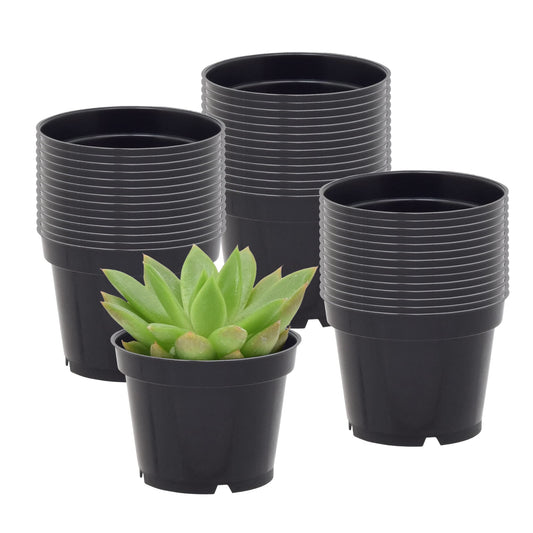 Arcadia Garden Products [100-Pack [2-inch] Nursery Pot with Drainage Holes, Heavy Duty Plastic Injection Mold Grow Pot for Flowers, Seedlings, Succulents, Plant Cuttings, Black
