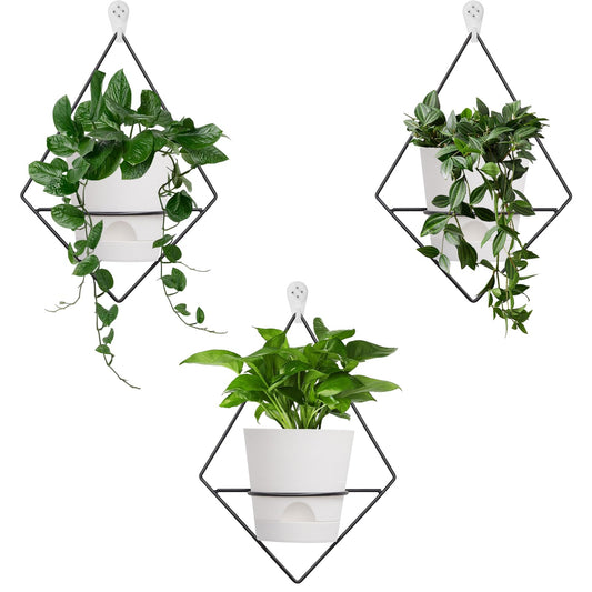 Koalaime 3 Sets Wall Planters for Indoor Plants Geometric Hanging Planters for Indoor Plants - Self-Watering Flower Pots with Black Metal Holder, Mounted Succulent Planter, 5" Black Plant Pot