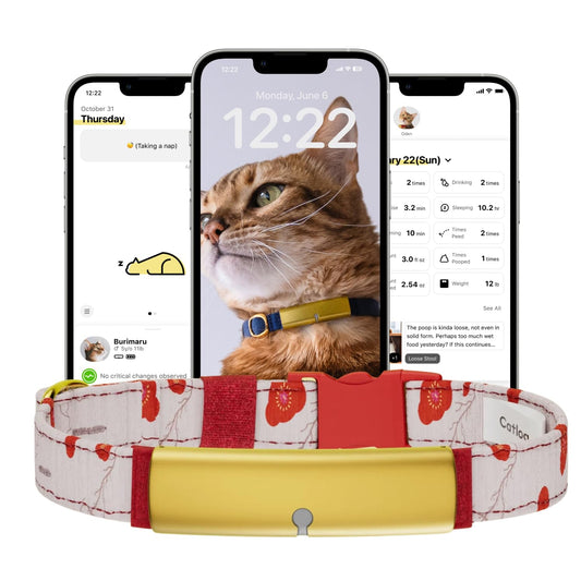 Catlog Health Tracker for Cats - Smart Cat Collar with Safety Breakaway Buckle for Indoor Cats, Wellness Alerts, Real-time Monitoring (Kimono (Ume),L)