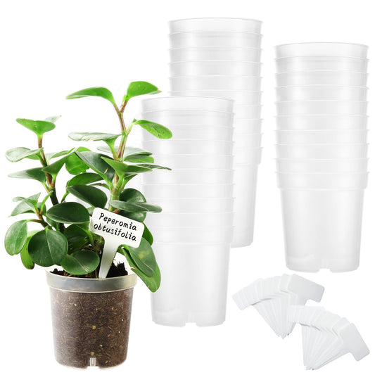 Rsipelsk 30 Pcs 3.5 Inch Clear Nursery Pots for Plants, Transparent Plastic Plant Pots with Drain Holes, Seed Starter Pots with 20 Plant Labels for Flowers Vegetable Seedlings