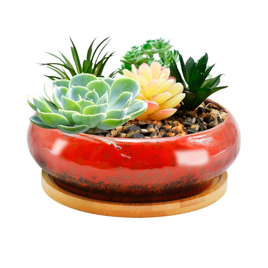 LIDSCURA 7.4 inch Ceramic Bonsai Pots with Trays Shallow Planters, Succulent Planters with Drainage Hole, Round Large Shallow Pots, Bonsai Pots Garden Decorative Cactus Stand Flower Container (Red)