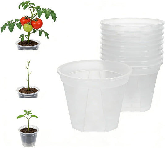 Alasum Transparent Planter Pots with Drainage Holes 10 Pack Clear Plastic Nursery Pots 3.93X3.93X3.14In for Succulents Cactus Orchid Small Flowers Root Control for Home Office