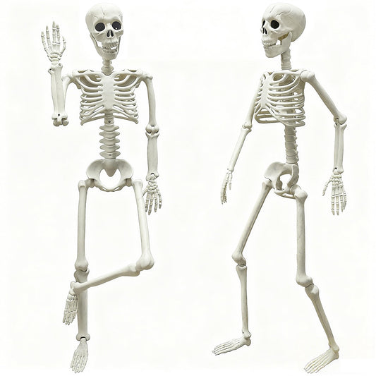 LUKBERA 2 Pack 3 ft Halloween Skeleton Posable, 36” Full Body Human Skeleton with Movable Joints for Halloween Haunted House Graveyard Party Scary Indoor Outdoor Decor