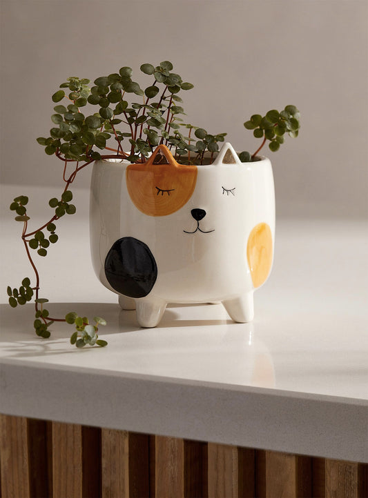 SparkDazzle Cat Planter Pot | Indoor Planter for Plants | Cat Lover and Gardening Gift | Animal Succulent Planter | Gifts for Women