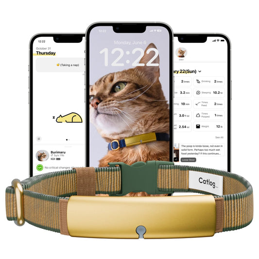 Catlog Health Tracker for Cats - Smart Cat Collar with Safety Breakaway Buckle for Indoor Cats, Wellness Alerts, Real-time Monitoring (Forest, XL)