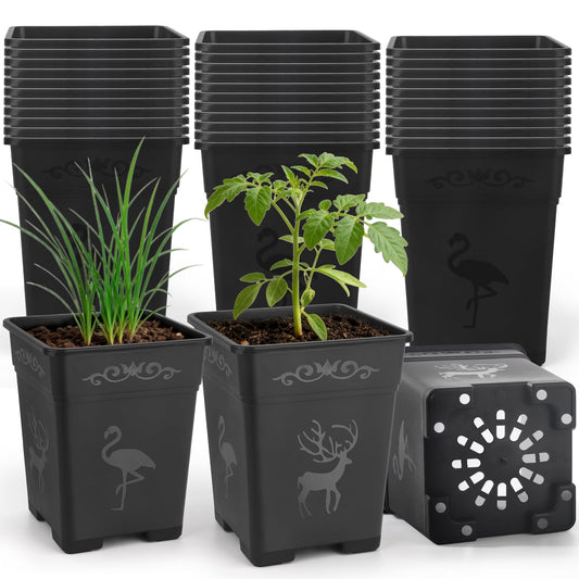 puobao 36 Pack 5.5 Inch Square Nursery Pots, Plastic Flower Pots with Drainage, Plant Pots for Plants, Reusable Planting Pots Planter for Seedlings, Transplanting & Indoor Use