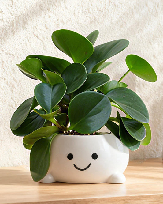 GaloTrek Smily Face Planter Pot Funny Toilet Plant Pots Cute Ceramic Flower Head Planters Succulent Pots for Indoor Outdoor Plants Unique Bathroom Planter with Drainage Hole