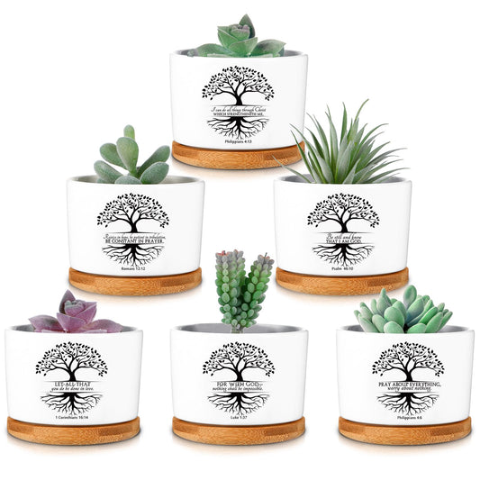 Sieral 6 Pcs Bible Verse Succulent Pots with Drainage 3.15 Inch Mini Mothers Day Christian Planter Accessories with Bamboo Tray for Church Teacher Coworker Gardener Gift, Plants Not Included