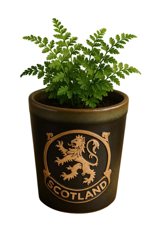 Glen Appin Stoneware Plant Pots Succulent Plants Pottery Scotland Flower Pots Scottish Gift 1.5 fl oz(44ml)