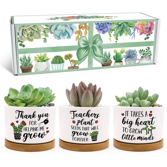 Tuitessine Teachers Gift for Women Men Teacher Appreciation Succulent Planters Pots Back to School Best Teacher Birthday Retirement Gifts Mini Ceramic Planter Pot with Gift Box (NO Plants)