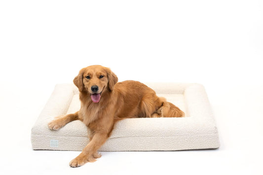 Bluewater Dog Luxury Boucle Orthopedic Memory Foam Dog Bed with Waterproof Liner and Machine Washable Cover with YKK Zippers (Large, 45" L x 36" W x 7" Th, Cloud)