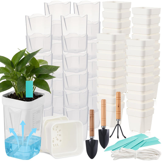 RimCereal 30 Pack 2.5" Small Self Watering Pots for Indoor Plants Clear Mini Self Watering Plant Pot with Water Level, Drainage Holes 30 Plastic Label 3 Planting Tools, Rope for Propagation Succulents