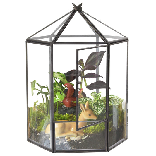ELEGANTLIFE Glass Geometric Plant Terrarium,Succulent & Air Planter for Home Garden Office Decoration,No Plants(Black Hexagonal)