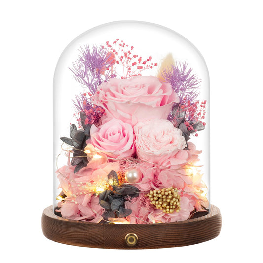 Large Preserved Flowers with Card&Box-Flowers for Delivery Prime,Eternal Rose with Lights,Roses in Glass Dome,Romantic Gift for Her,Decoration,Fresh Rose Flowers for Mom, Birthday, Anniversary (Pink)