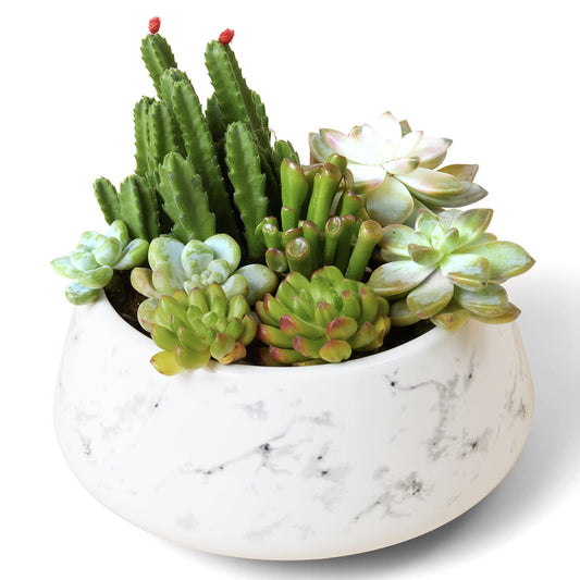 La Jolie Muse Large Succulent Planter Plant Pots, Ceramic Indoor Outdoor Garden Pot W/ Drainage for Plant Flower, 8 Inch, Splash Ink & Sandy Beige