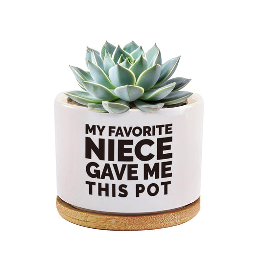 Loovelo My Favorite Niece Gave Me This Pot Succulent Plant Pot with Bamboo Tray Aunts Auntie Uncle Gifts Mother's Father's Day TIO Tia Home Office Decor Plant Lover 3.5 Inch White (No Plants)