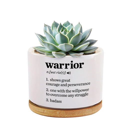 Warrior Definition Inspirational Gifts Ceramic Succulent Plant Pot with Bamboo Tray Round Motivational Encouragement Gifts Cancer Survivor Sobriety Home Decor Plant Lover 3.5 Inch White (No Plants)