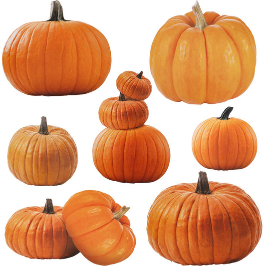 35 Pieces Large Pumpkin Cutouts Decoration Pumpkin Shape Cutouts for Fall Classroom Decor and Teacher Supplies Celebrations Halloween Thanksgiving Day Party Supply, 7 Designs