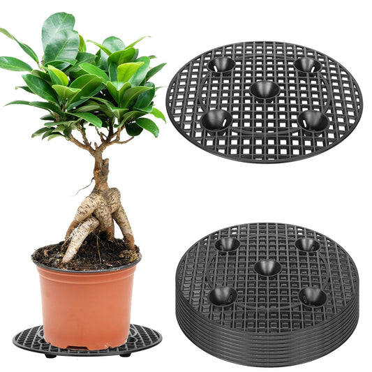 DUTWROY Plant Level Pot Elevator 12 Inch Plant Riser for Pots 10 Pieces Black Plant Stands to Prevent Rot and Damage Plant Runoff Tray for Indoor Outdoor Garden Flower, Patio and Deck Floor Protector