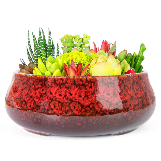 ARTKETTY Succulent Pots - 8 Inch Plant Pot, Large Bonsai Pots with Drainage, Ceramic Planters for Indoor Outdoor Plants, Round Shallow Cactus Flower Plant Container Bowl Decorative Home Garden