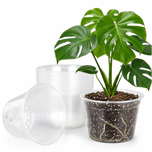 TAQIXI 2 Gallon Clear Nursery Pots 15 Pack, 8 Inch Large Plastic Plant Pots with Drainage Holes, Transparent Planters for Root Monitoring, Seedlings, Vegetables, Flower, Indoor Outdoor