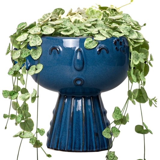 Fivepot Head Planter Pot - 7 Inch Cute Face Planter for Indoor Outdoor Plants Ceramic Succulent Pot Round Flower Pot Present for Mother Christmas with Drainage Hole Blue