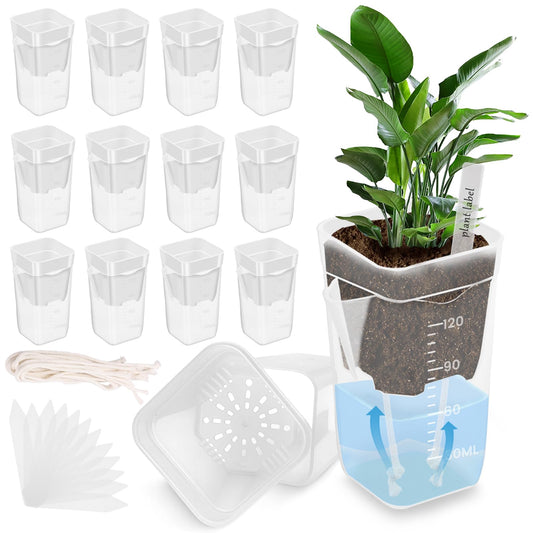 Fizocosisto 12Pcs 2.5Inch Self Watering Pots for Indoor Plant Mini Clear Plastic Planter for Hoya African Violets Alocasia