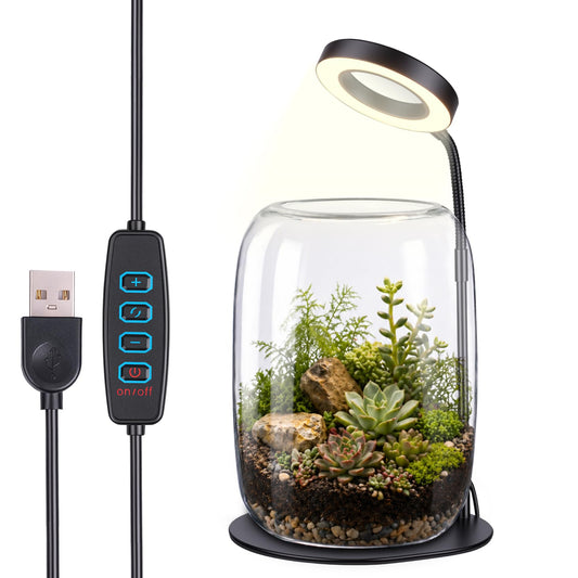 5X Aperture Glass Terrarium Grow Light with Full Spectrum LED for Indoor Plants, Mini Desk Plant Growing Lamp for Succulents & Moss, 3 Modes, 10 Brightness Levels, Height Adjustable