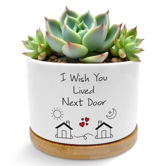 ROXMART Gifts for Best Friend Woman Plant Pots, Friendship Bestie BFF Gifts Succulent Planters, I Wish You Lived Next Door Ceramic Plant Flower Pots for Home Office Desk Table Shelf(No Plants)