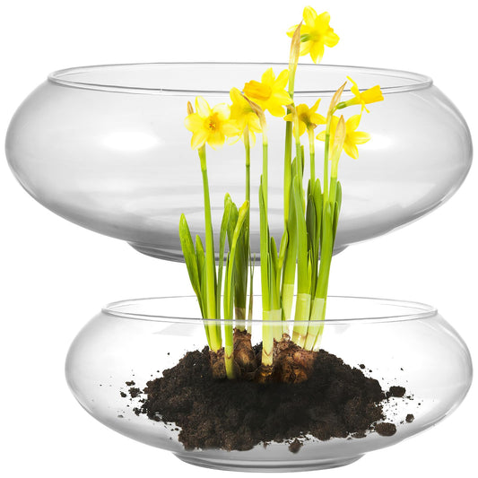 Gatuida 2pcs Glass Vase Bowls Clear Fish Bowls Wide Mouth Flower Vase Round Terrarium, Glass Hydroponic Planter Floral Container for Water Lily Plants Table Centerpiece