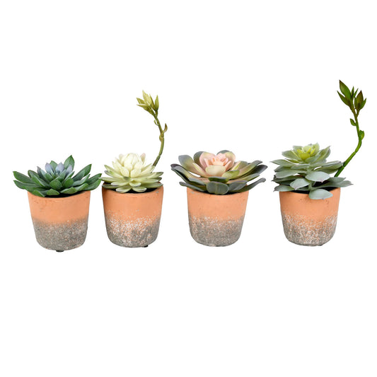 Vickerman Everyday 7" Indoor Assorted Potted Succulents - Pre-Made Potted Cactus - Durable Plastic Plants in Clay Pots - Maintenance Free - Set of 4