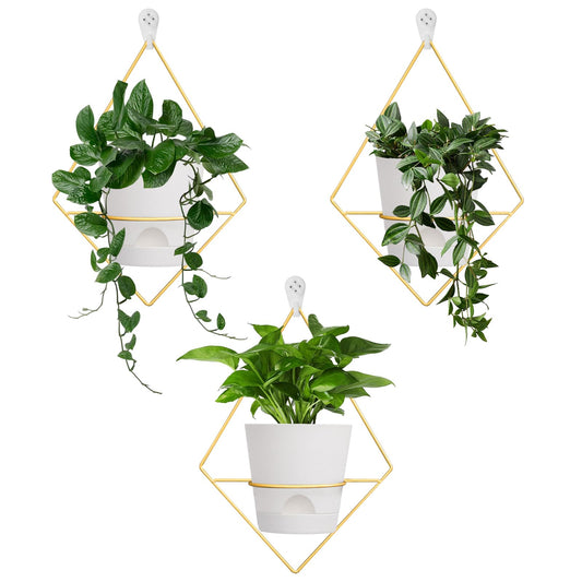 Koalaime 3 Sets Wall Planters for Indoor Plants Geometric Hanging Planters for Indoor Plants - Self-Watering Flower Pots with Black Metal Holder, Mounted Succulent Planter, 5" Black Plant Pot
