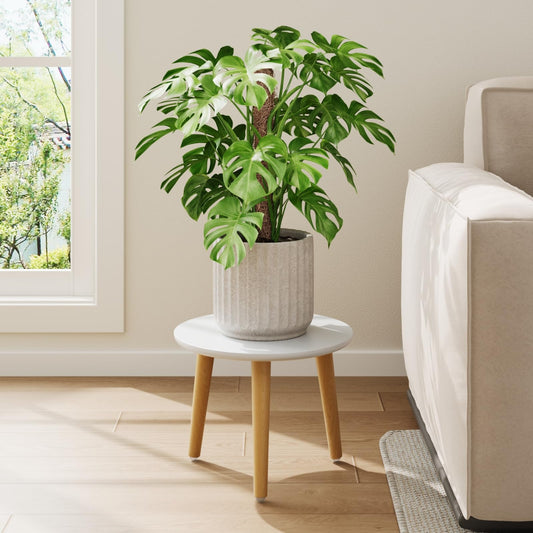 Leaf&lull Plant Stand Indoor Small Plant Table for Large Plants Wood Plant Stool Tall Plant Holder for Living Room Bedroom Balcony White