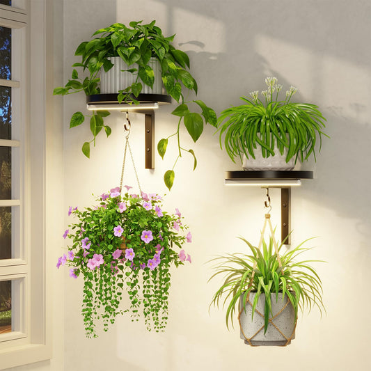 LASZOLA Plant Hangers Shelves Wall Mounted Indoor with Grow Lights, Metal Window Plant Holders, 2Pcs Modern Floating Flower Display Stand with 2 Hooks for Outdoor Kitchen Bathroom Decor, Black