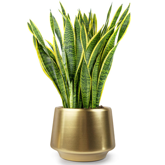 Decor Trends Gold Planter Flower Pots 6 inch Decorative Plant Pots for Indoor Gold Brass Succulent Plant Pots Containers (Dia 6 inch), Small 5.9‘’