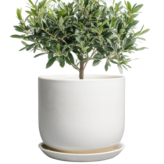 SUNPOTFOR Ceramic Plant Pot - Modern 8 Inch Round Planter for Indoor Outdoor Plants with Drainage Hole and Saucer, Home House Room Office Decor, White
