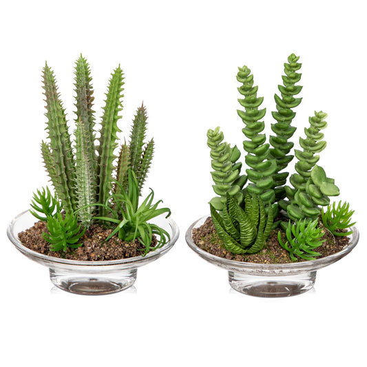 Set of 2 Succulents Plants Artificial cactus in Glass Pot with Realistic Featuring Sand Moss, Small Fake Succulents Plants Faux Plants Indoor for Home Office Desk Bathroom Shelf Living Room Decor