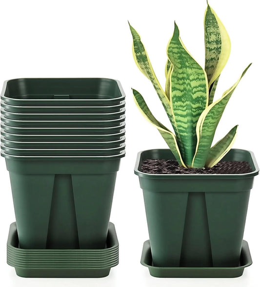 Fasmov 10 Pcs Square Nursery Pot 7 Inch Plastic Plant Pots with Drainage Hole Garden Flower Pots Nursery Plant Container, Flower Planters with Trays for Succulents Herbs Cactus, Green