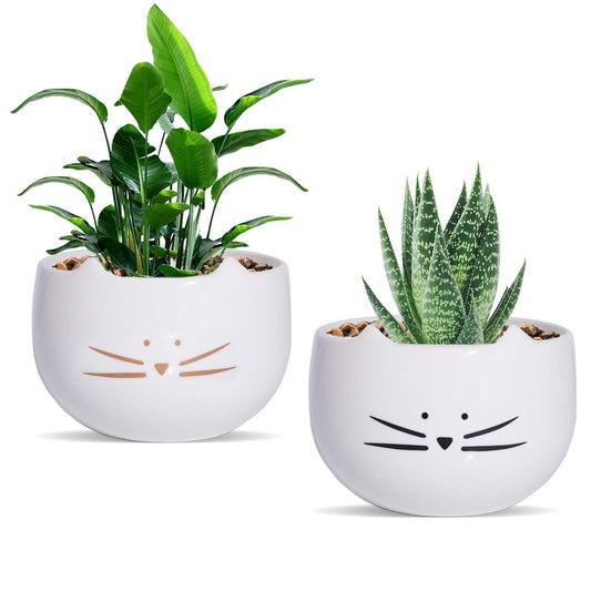 Koolkatkoo 5.5 Inch Cute Cat Succulent Planter Pots Cactus Planters Flower Pots White Set of 2