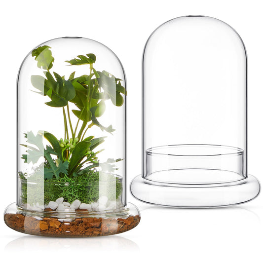 Perthlin 2 Pcs 5.9 x 7.9 Inch Glass Terrarium Clear Terrarium Planter Container Glass Dome Cloche with Airhole and Base for Plant Flower Home Tabletop Display Centerpiece, Plants Not Included