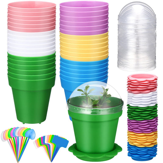 LOYIM 36 Packs Cupcake Plant Nursery Pots with Humidity Dome Small Flower Pots Plastic Planting Containers Cups with Saucers and Shovel for Indoor Outdoor Plant Succulent Display(Colorful)