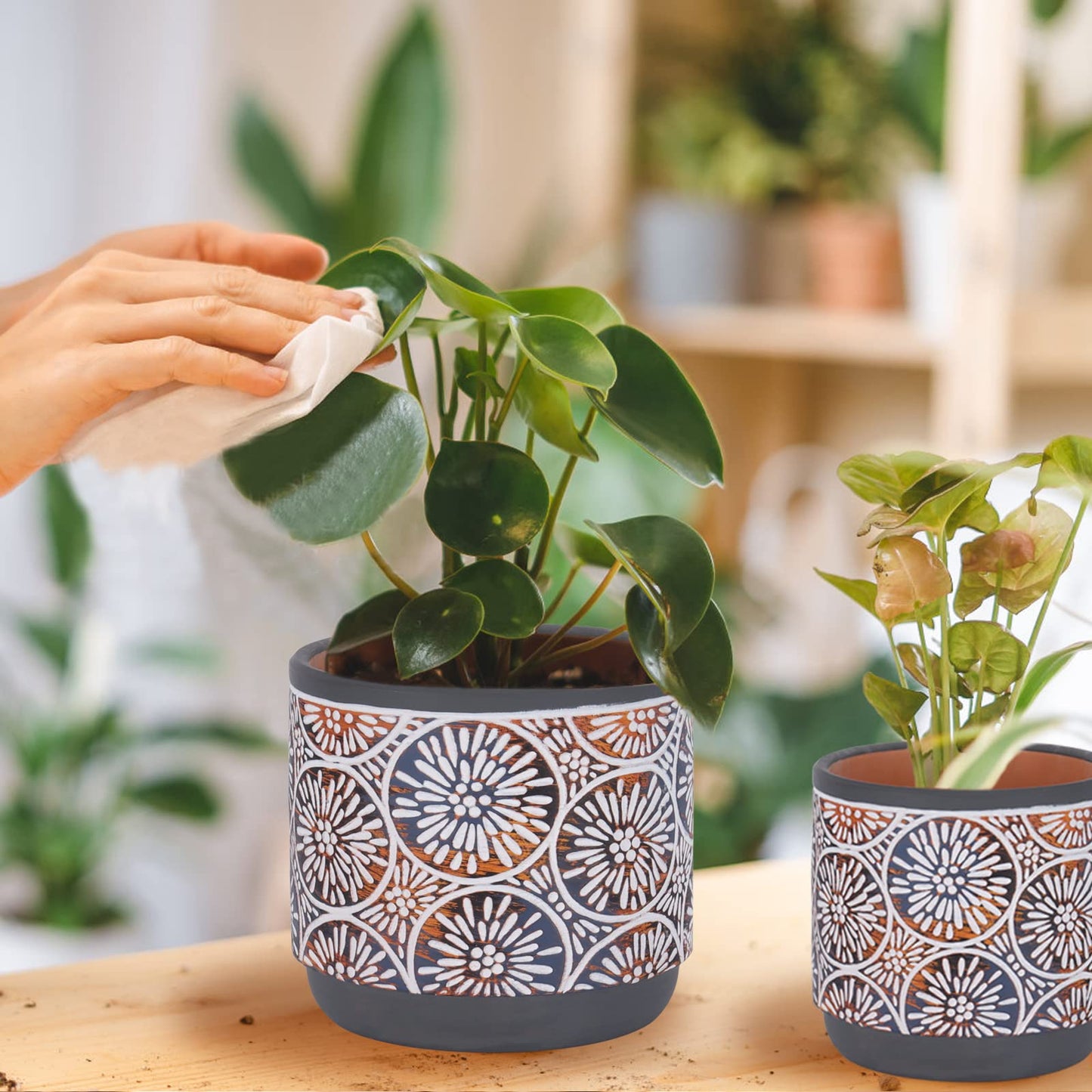 DeeCoo 3 Piece Ceramic Plant pots for Indoor with Drainage Holes, 5.7/4.7/3.5/inch, Modern Decorative Flower pots Outdoor Plants Lilies, Cacti, Succulents, Snakes, and Bamboo (Gray)